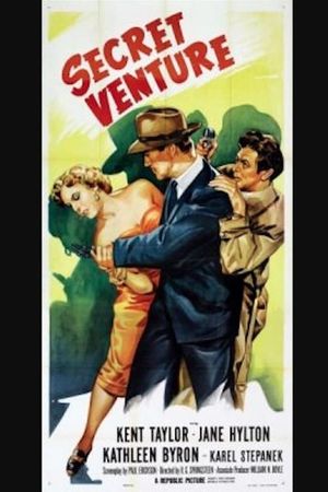 Secret Venture's poster