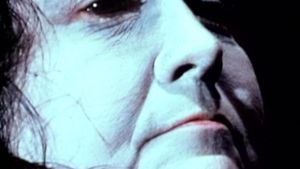 The Grandmother's poster
