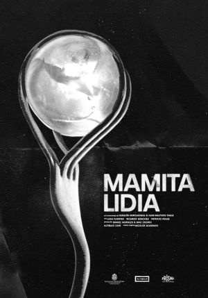 Mamita Lidia's poster
