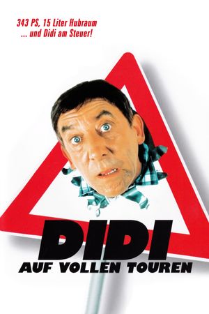 Didi Drives Me Crazy's poster