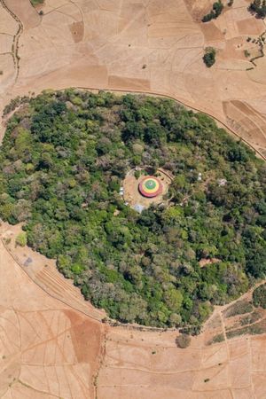 The Church Forests of Ethiopia's poster
