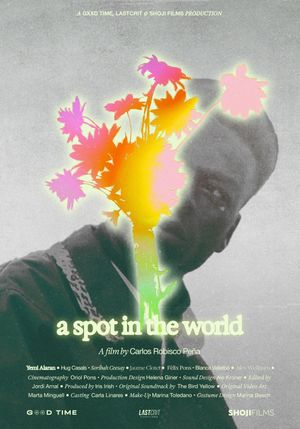 A Spot in the World's poster image