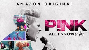 P!nk: All I Know So Far's poster