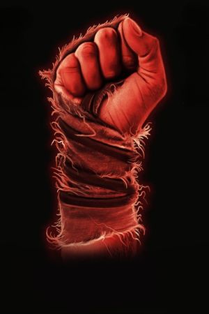 The Last Kumite's poster