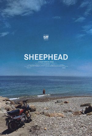 Sheephead's poster