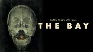 The Bay's poster