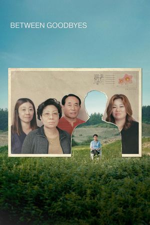 Between Goodbyes's poster