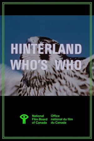 Hinterland Who's Who: Peregrine Falcon's poster