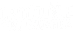 Le crocodile du Botswanga's poster