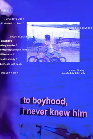 to boyhood, i never knew him's poster