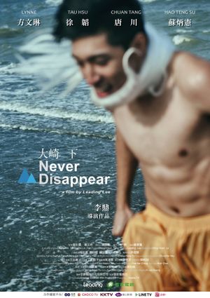Never Disappear's poster
