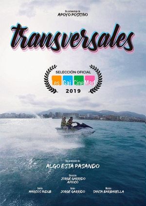 Transversales's poster