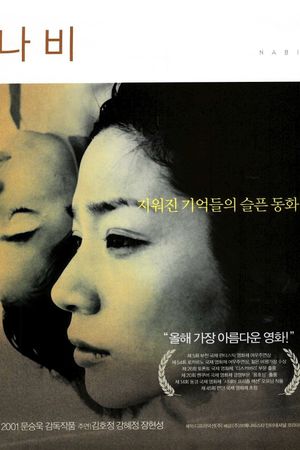 The Butterfly's poster