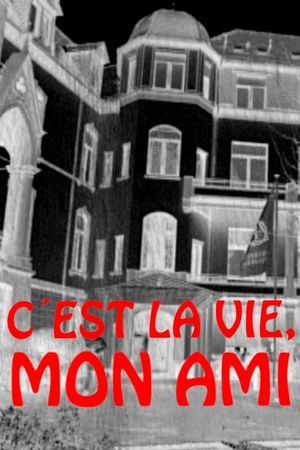 C'est la vie, mon ami's poster