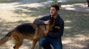The Lucky One's poster