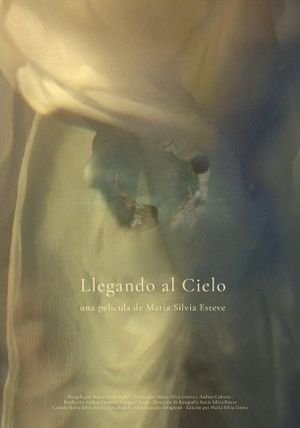 Llegando al cielo's poster image