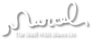 Marcel the Shell with Shoes On's poster