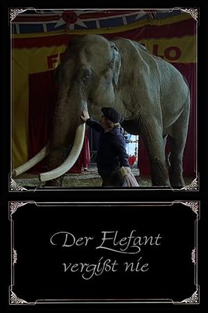 The Elephant Never Forgets's poster