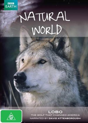A Wolf Called Storm's poster
