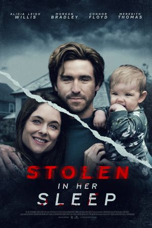 Stolen in Her Sleep's poster