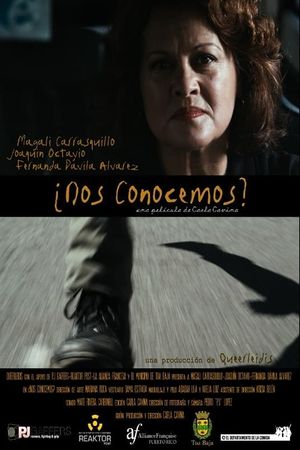 ¿Nos conocemos?'s poster