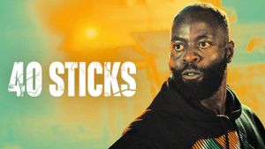 40 Sticks's poster