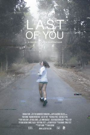 Last of You's poster