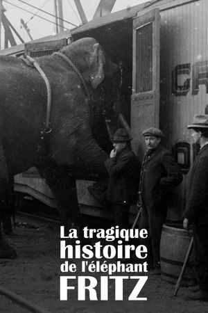 La Tragique Histoire de Fritz l'éléphant's poster