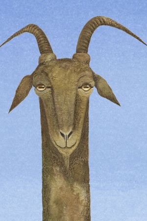 chthonios's poster