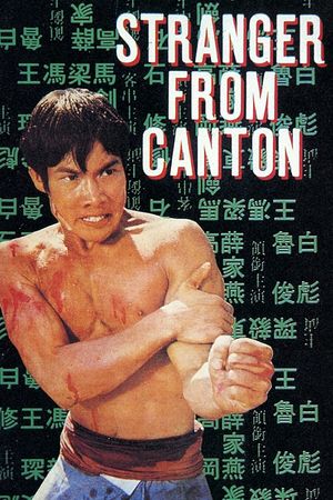 The Karate Killer's poster