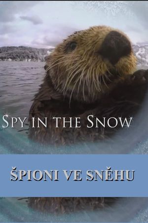 Spy in the Snow's poster