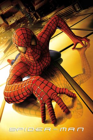 Spider-Man's poster