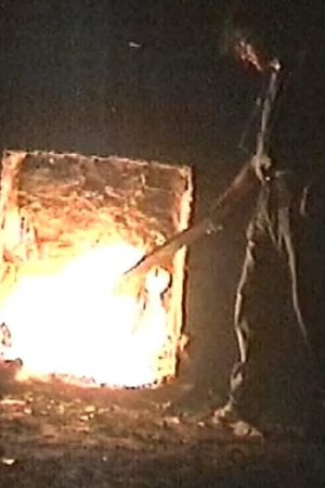 Watch the K Foundation Burn a Million Quid's poster