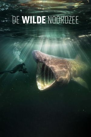 De wilde Noordzee's poster