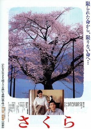 Sakura's poster