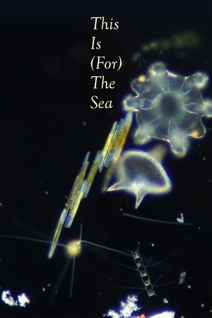 This Is (For) The Sea's poster