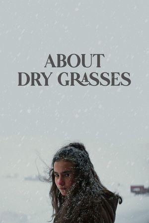 About Dry Grasses's poster