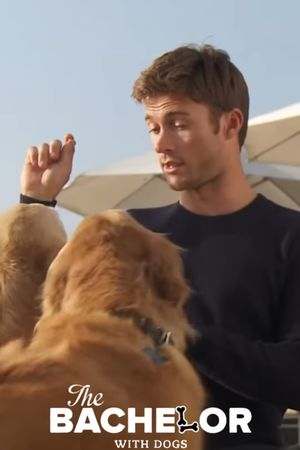 The Bachelor with Dogs and Scott Eastwood's poster