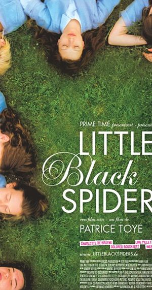 Little Black Spiders's poster
