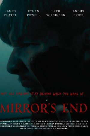 Mirror's End's poster
