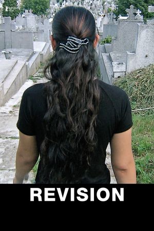 Revision's poster