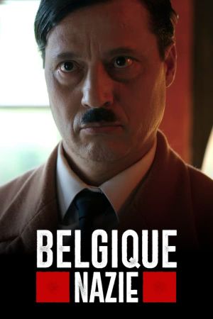 Belgique nazie's poster image