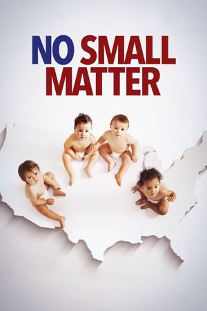 No Small Matter's poster