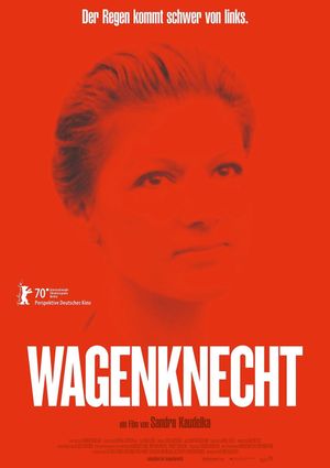 Wagenknecht's poster