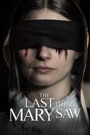 The Last Thing Mary Saw's poster