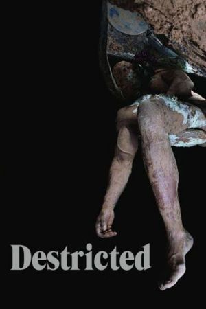 Destricted's poster