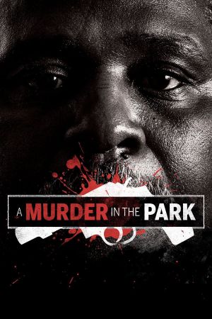 A Murder in the Park's poster