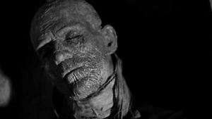 The Mummy's poster