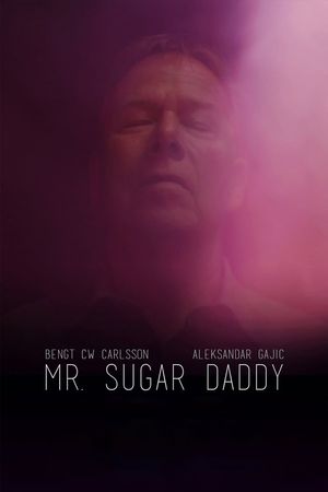 Mr. Sugar Daddy's poster