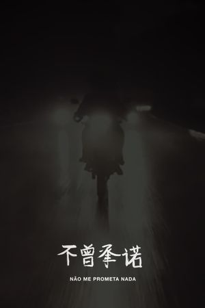 Don't Promise Me Anything's poster image